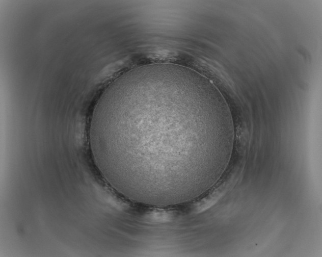 X0000111020416200906261545