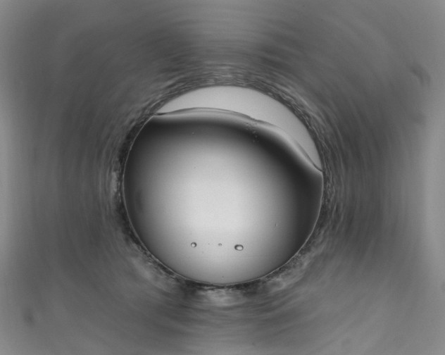 X0000111020417200906261545