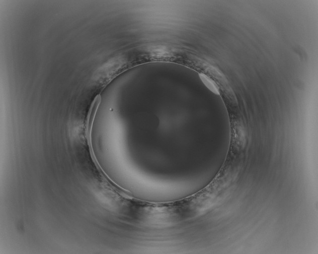 X0000111020419200906261545