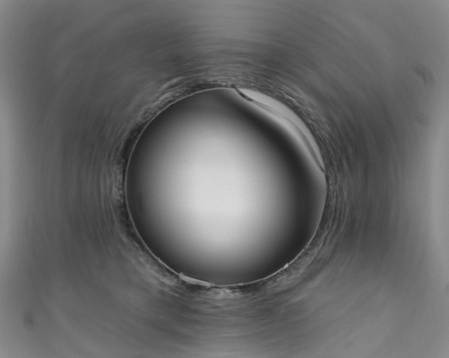 X0000111020421200906261545