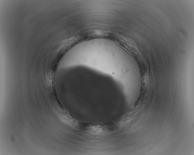 X0000111020423200906261544