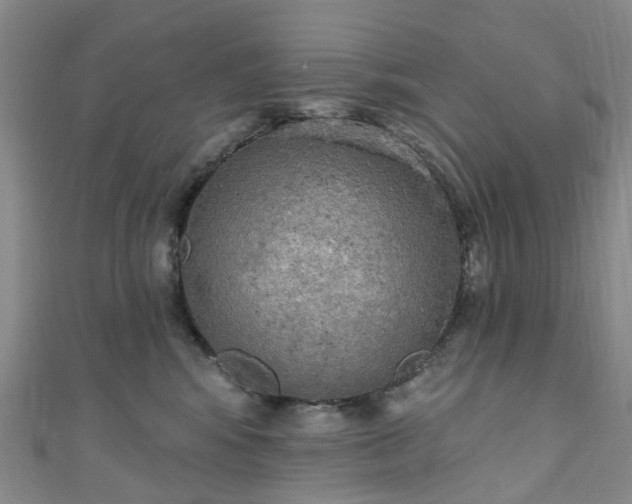 X0000111020424200906261544