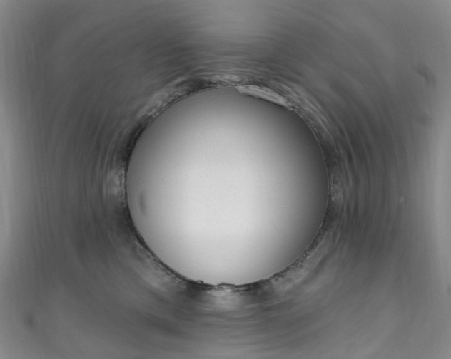X0000111020425200906261544
