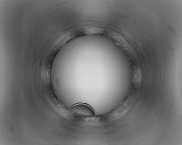 X0000111020426200906261544