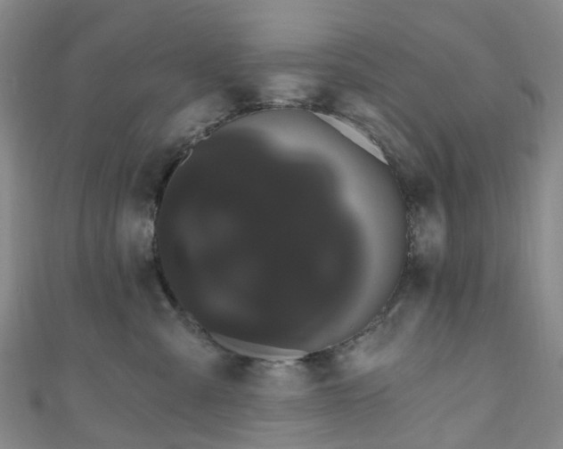 X0000111020427200906261544