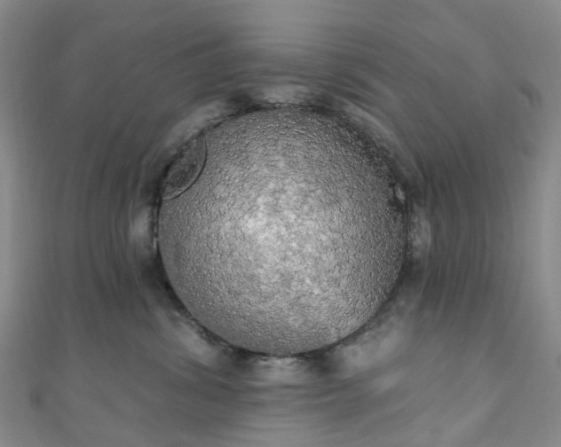 X0000111020428200906261544