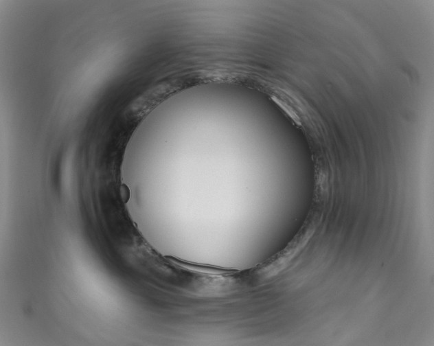 X0000111020429200906261544