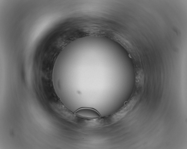 X0000111020430200906261544