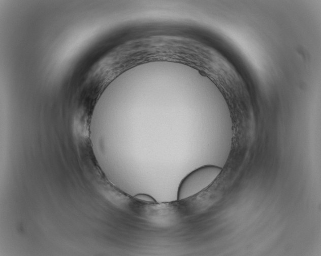 X0000111020431200906261544
