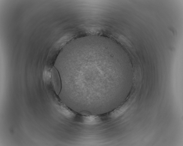X0000111020432200906261544