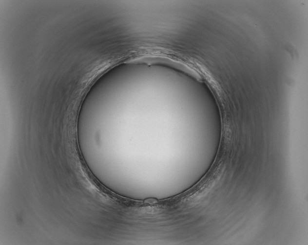 X0000111020433200906261544