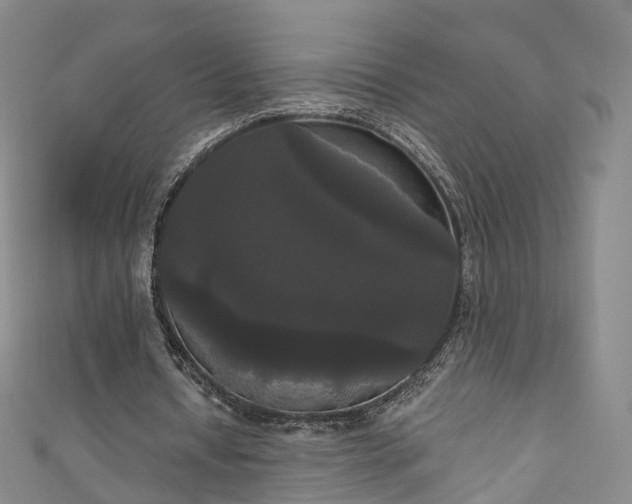 X0000111020434200906261544