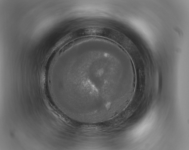 X0000111020435200906261544