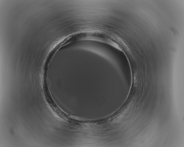 X0000111020436200906261544