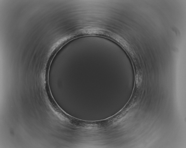 X0000111020438200906261544