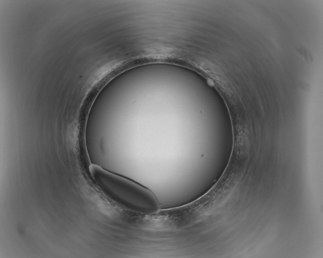 X0000111020440200906261544