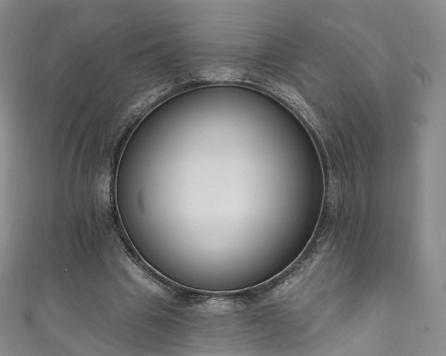 X0000111020441200906261544