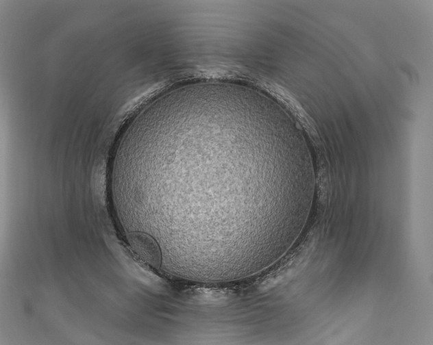 X0000111020442200906261544