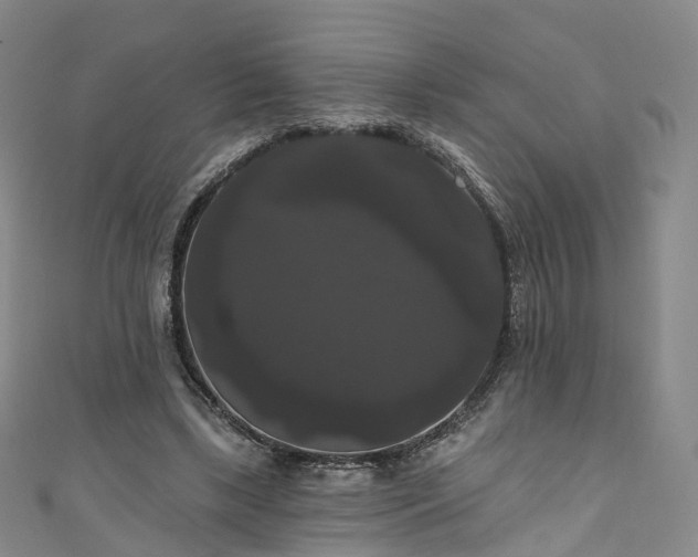 X0000111020443200906261544
