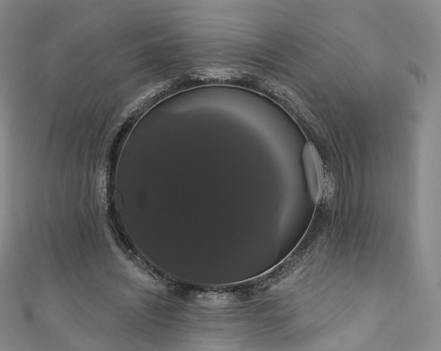 X0000111020444200906261544