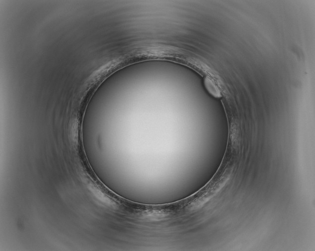 X0000111020445200906261544