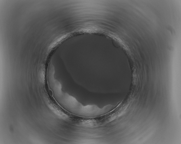 X0000111020446200906261544