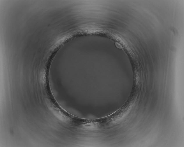 X0000111020447200906261544
