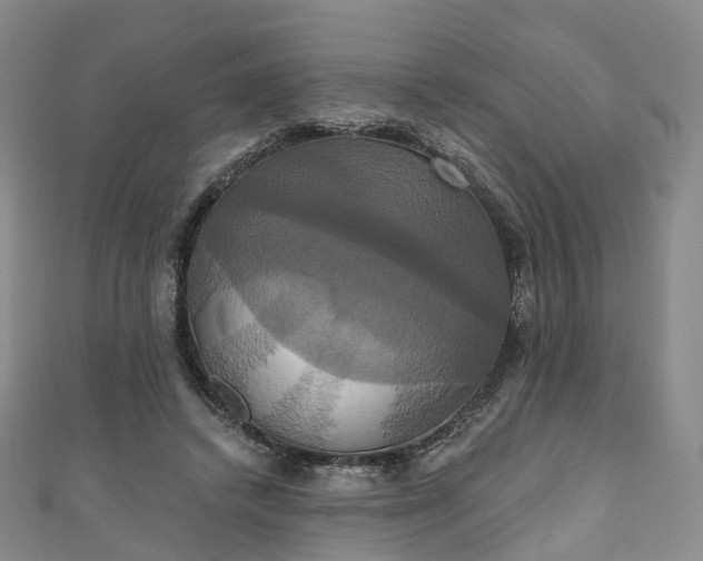 X0000111020448200906261544