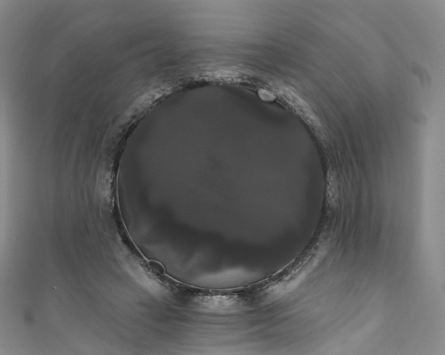 X0000111020449200906261544