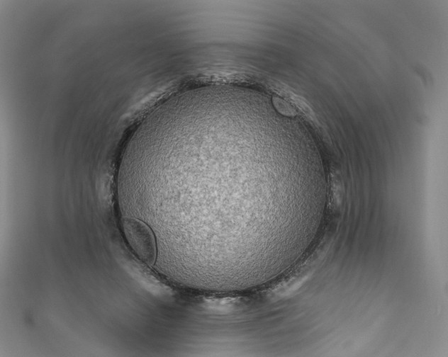 X0000111020450200906261544
