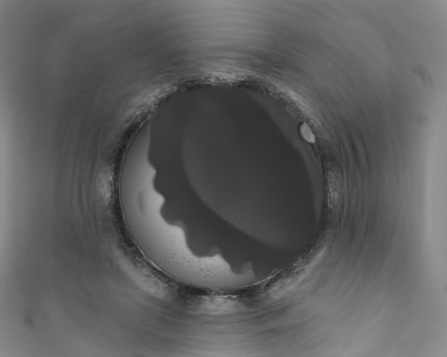 X0000111020451200906261544