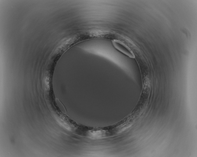 X0000111020452200906261544