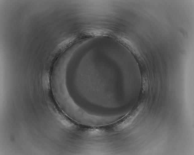 X0000111020453200906261544