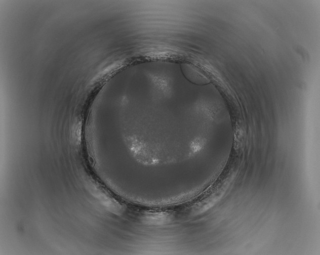 X0000111020454200906261544