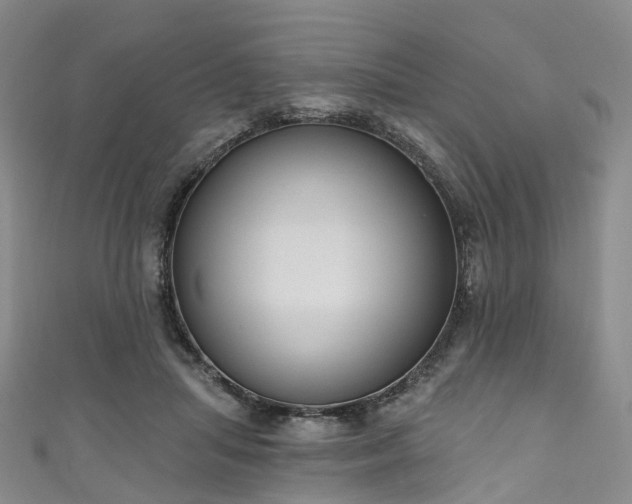 X0000111020455200906261544