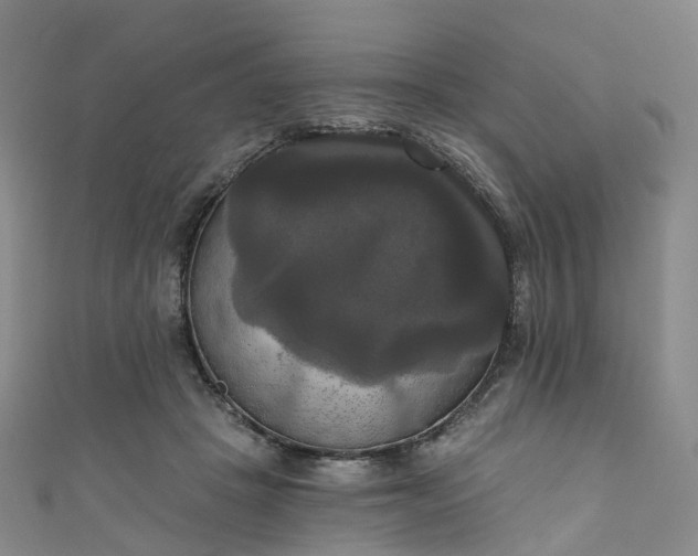 X0000111020457200906261544