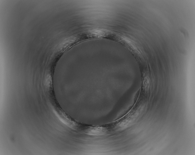X0000111020459200906261544