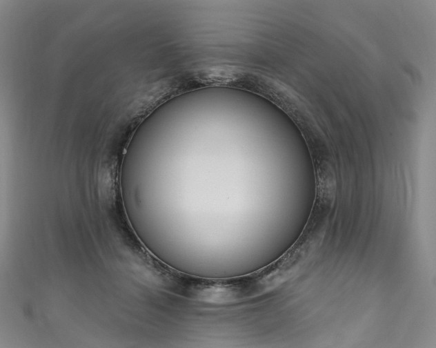 X0000111020460200906261544