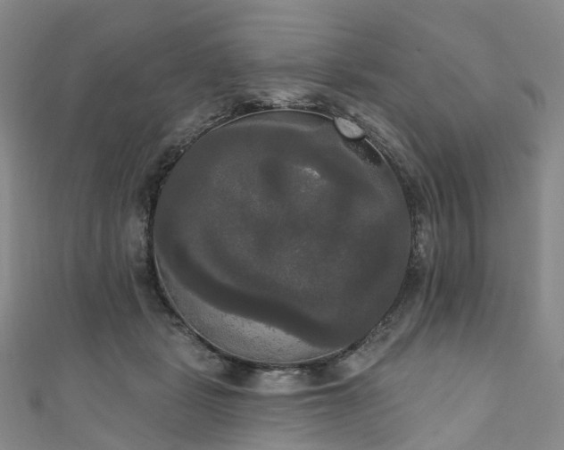 X0000111020461200906261544