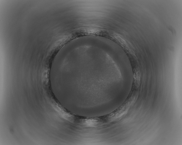 X0000111020462200906261544