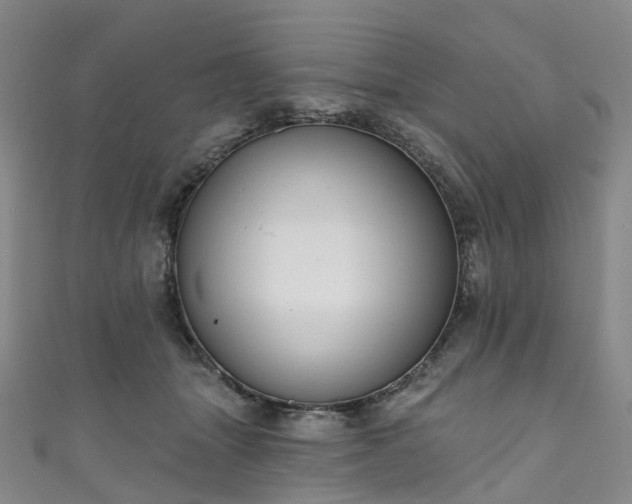 X0000111020463200906261544