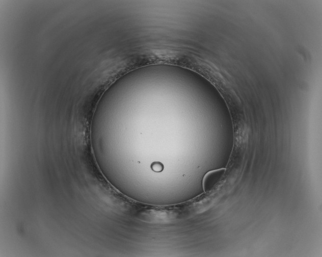 X0000111020464200906261544