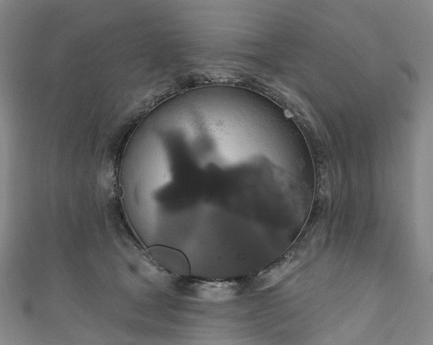 X0000111020465200906261544