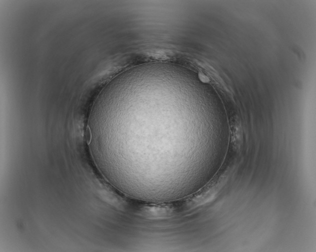 X0000111020466200906261544