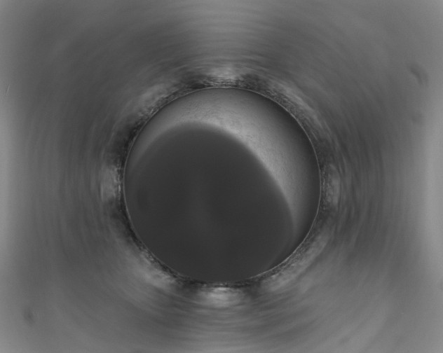 X0000111020467200906261544