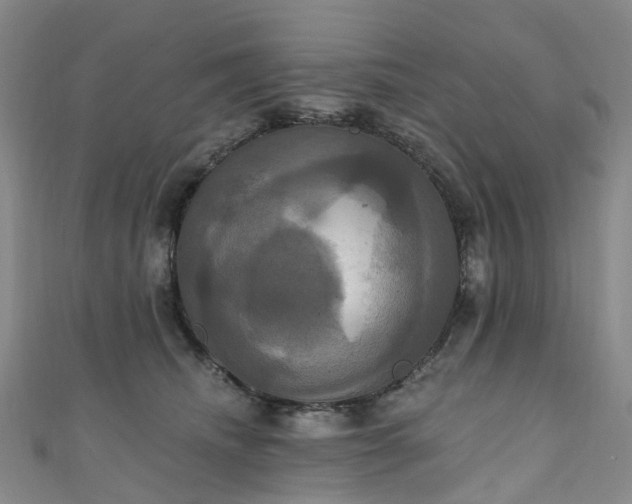 X0000111020468200906261544