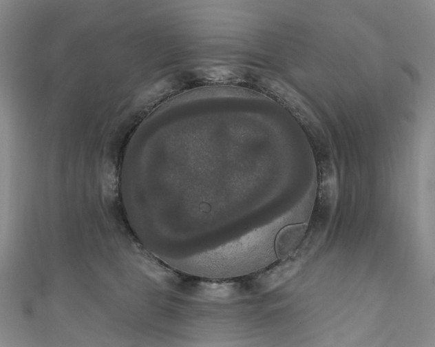 X0000111020469200906261544