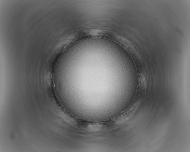 X0000111020470200906261544