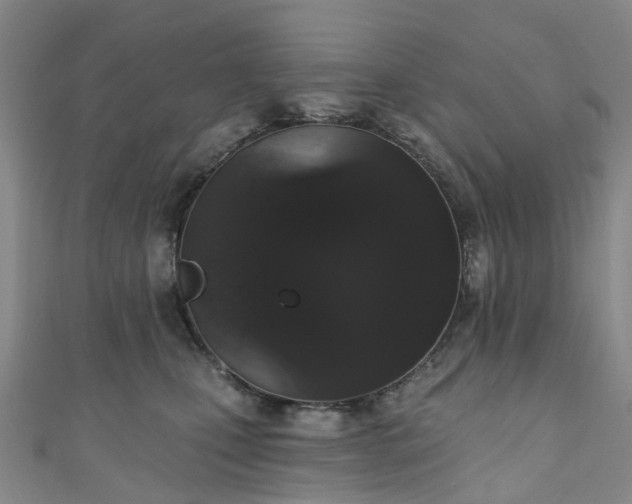 X0000111020471200906261544