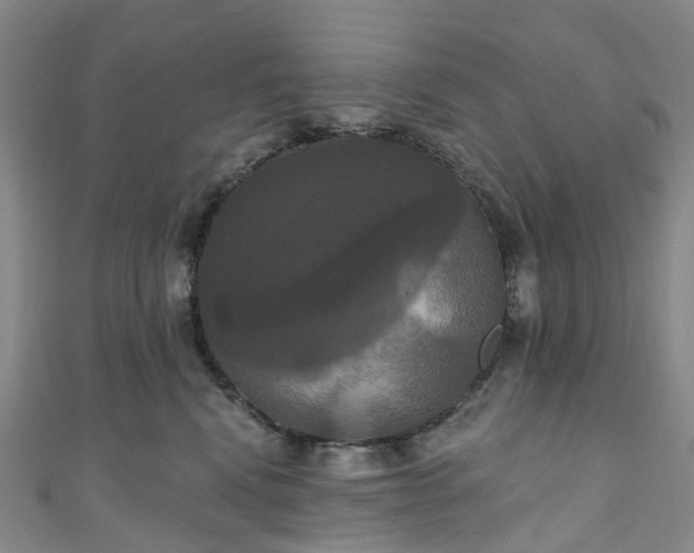 X0000111020472200906261544